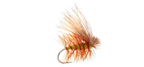 Elk Hair Caddis - Olive 6 Pack CLOSEOUT
